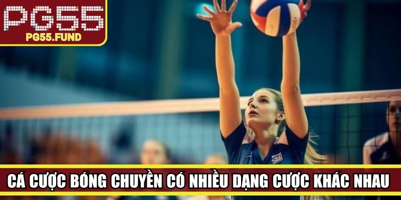 Cá cược bóng chuyền có nhiều dạng cược khác nhau để người chơi lựa chọn