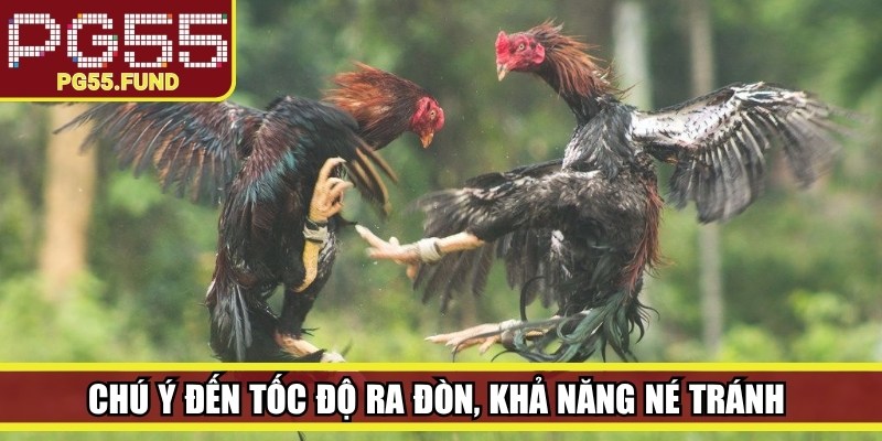 Chú ý đến tốc độ ra đòn, khả năng né tránh và cách di chuyển trong từng tình huống